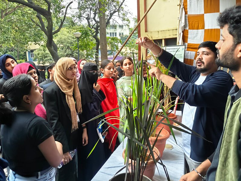 A researcher showing rice plants to visitors at an outreach stall