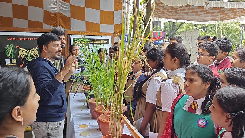 School students gathered around the lab's rice display