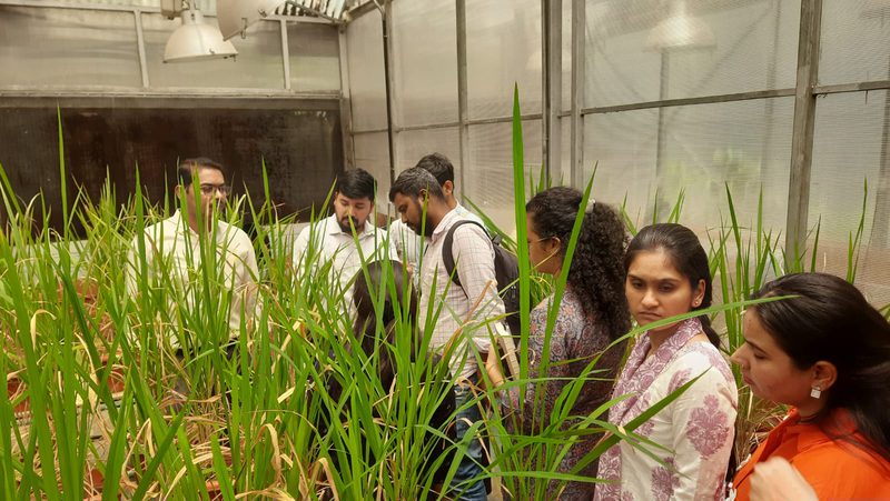 RICE-1 genome editing masterclass at CSIR-CCMB, July 2026