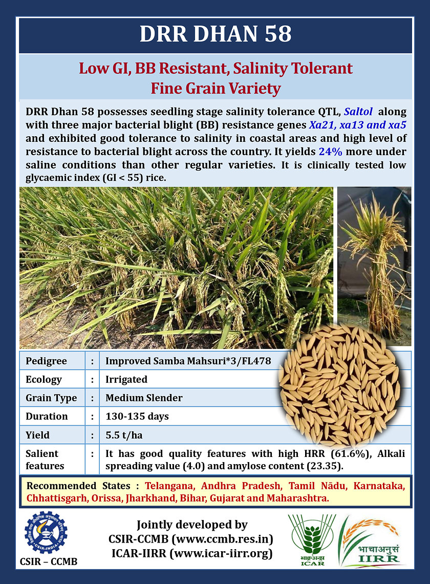 DRR Dhan 58 variety pamphlet