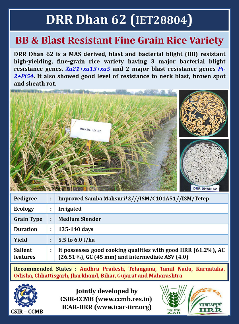 DRR Dhan 62 variety pamphlet